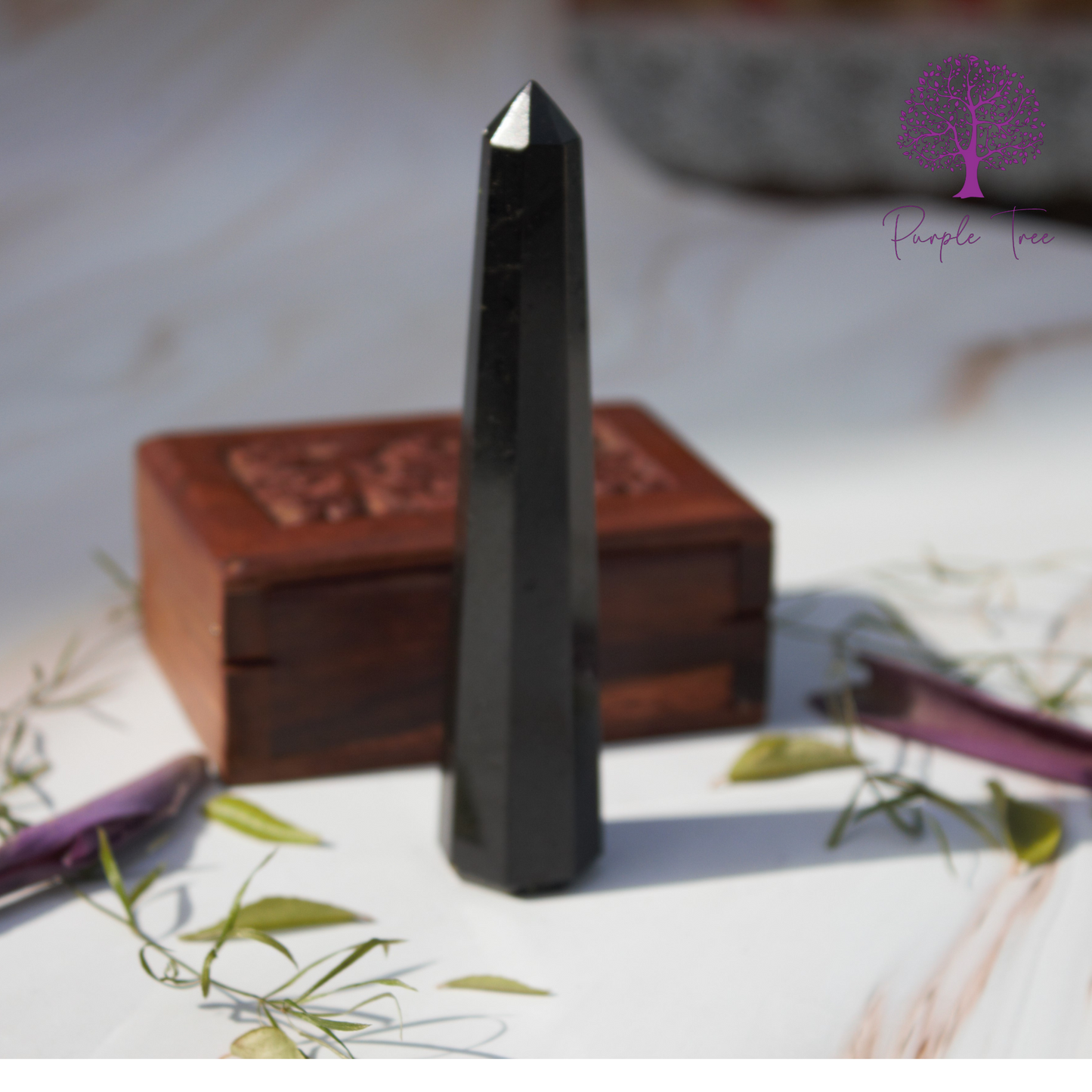 Black Tourmaline Pointer