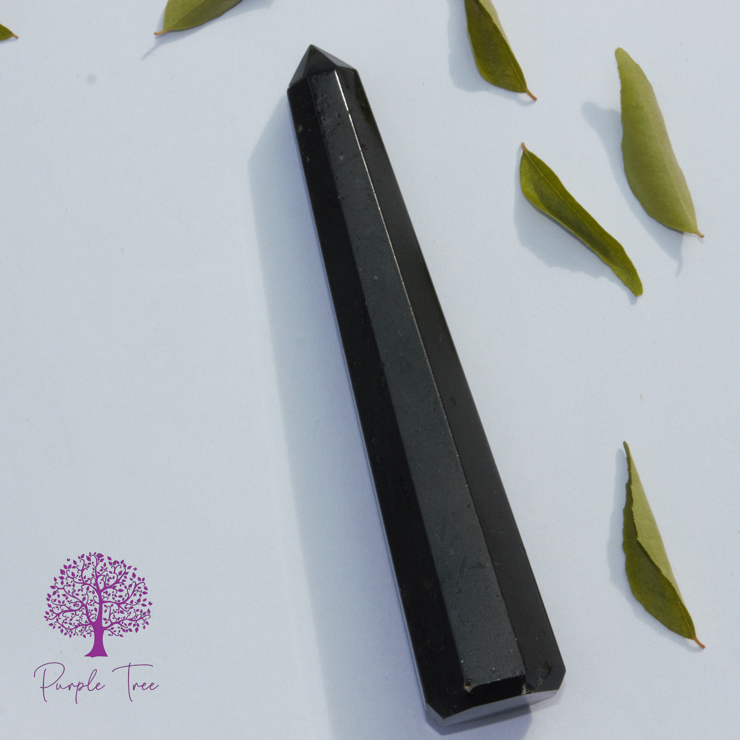 Black Tourmaline Pointer