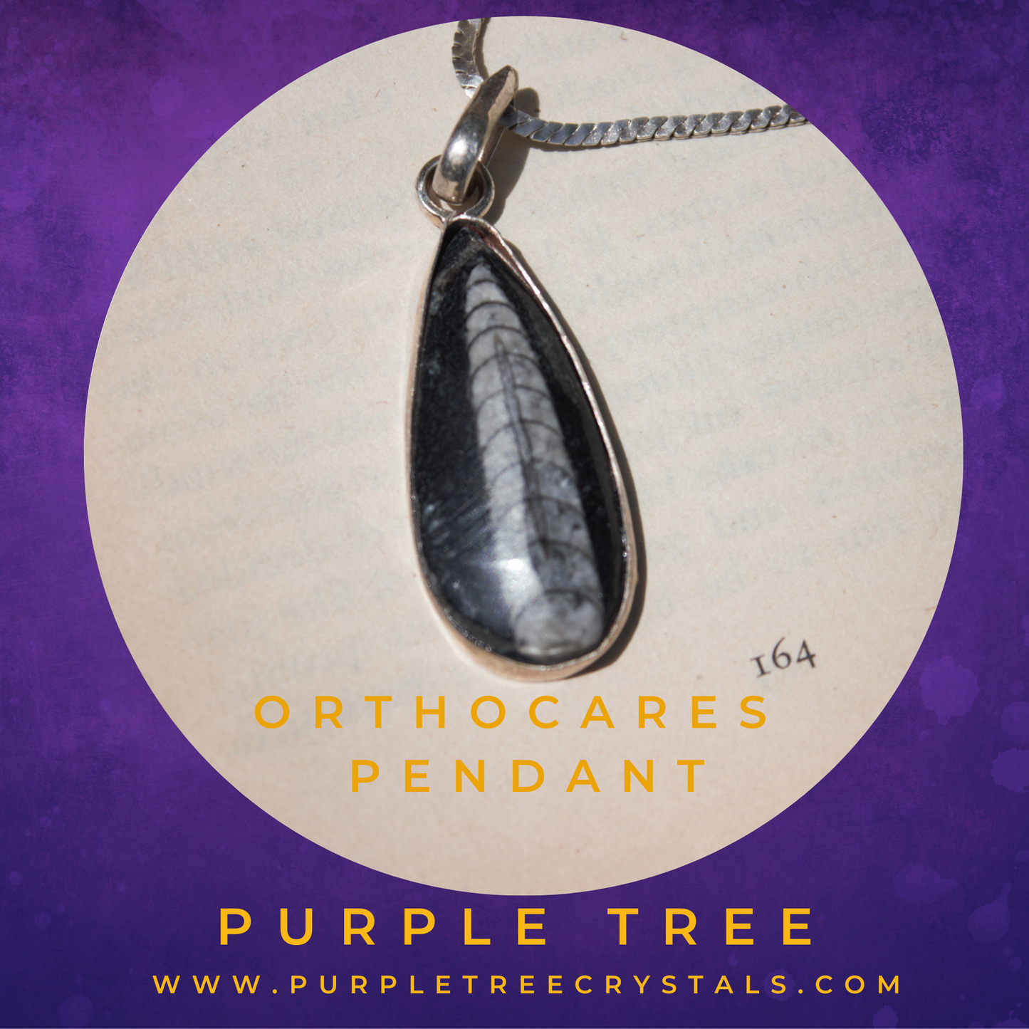 Orthoceras Silver Pendant