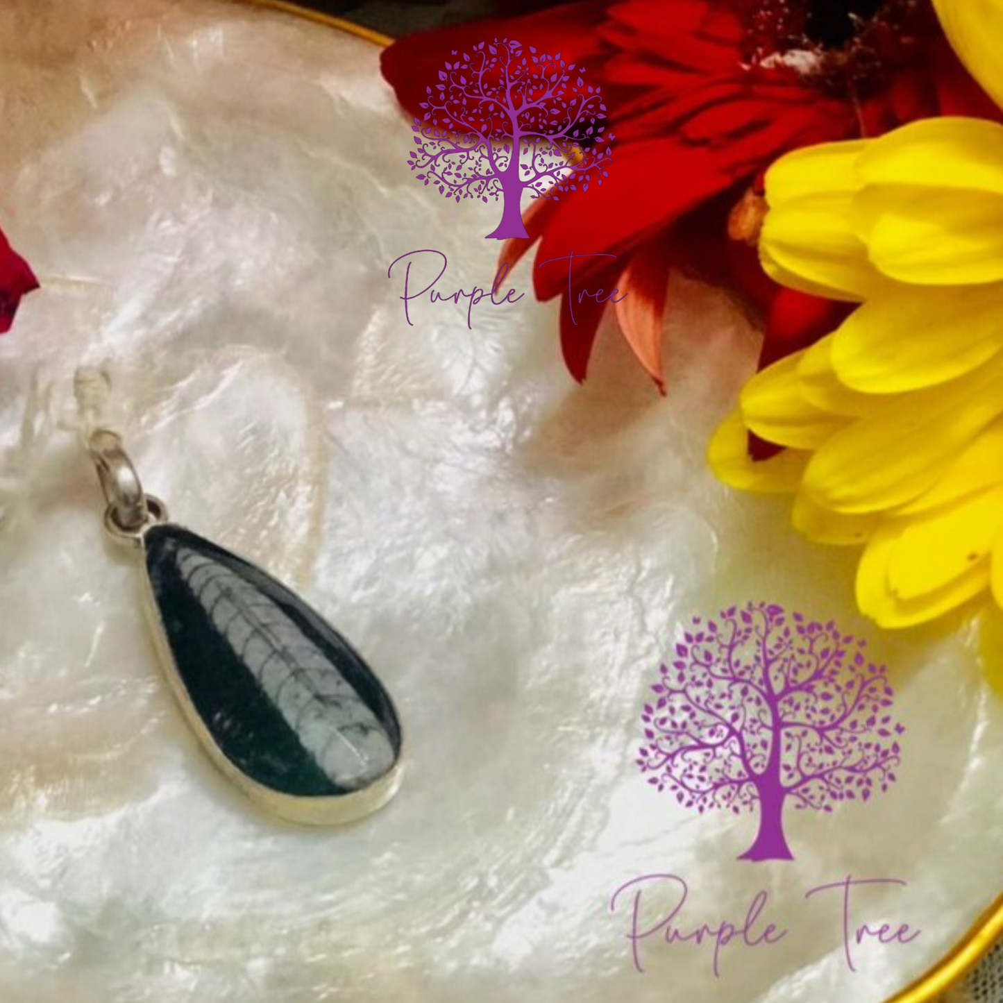 Orthoceras Silver Pendant