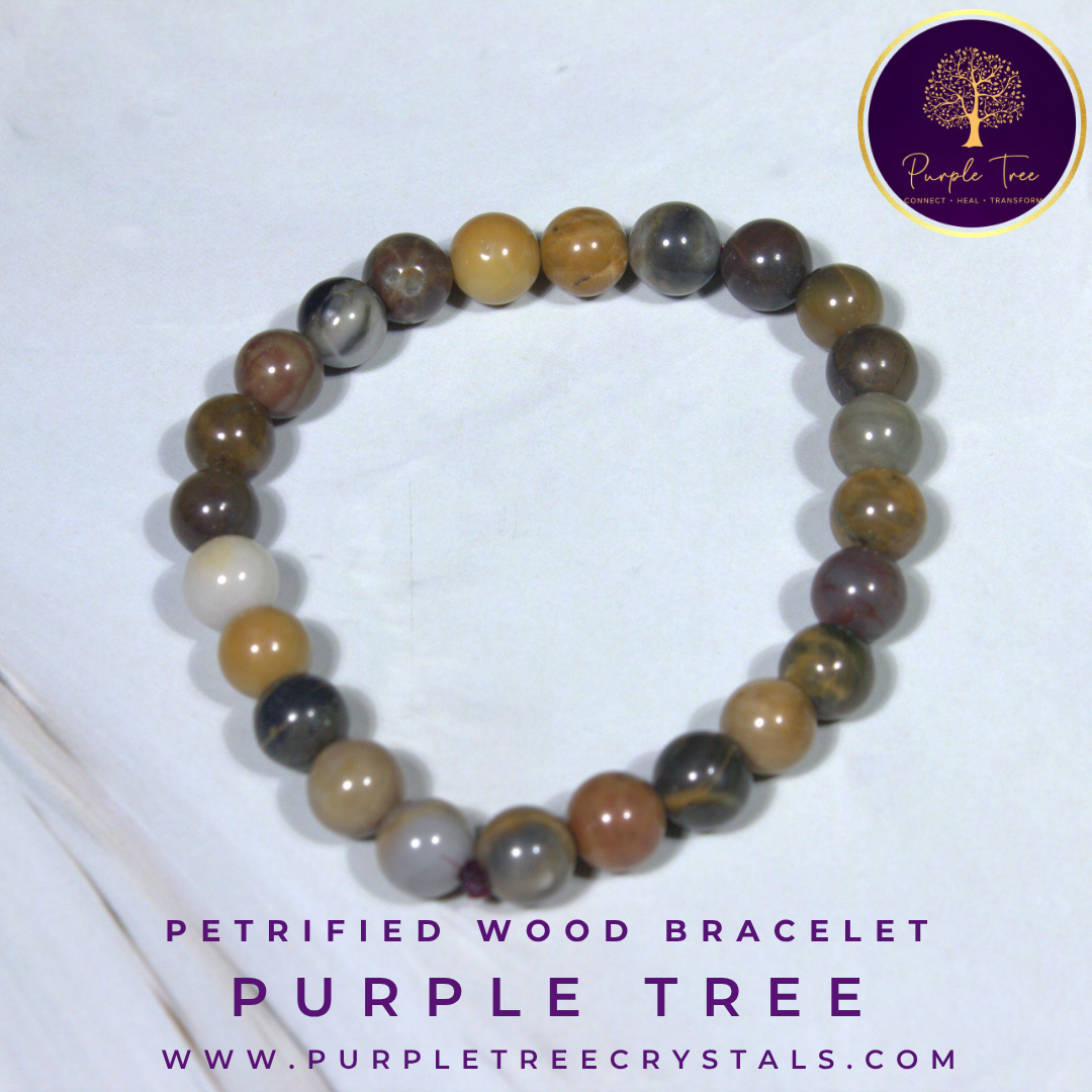 Petrified Wood Bracelet (8MM)