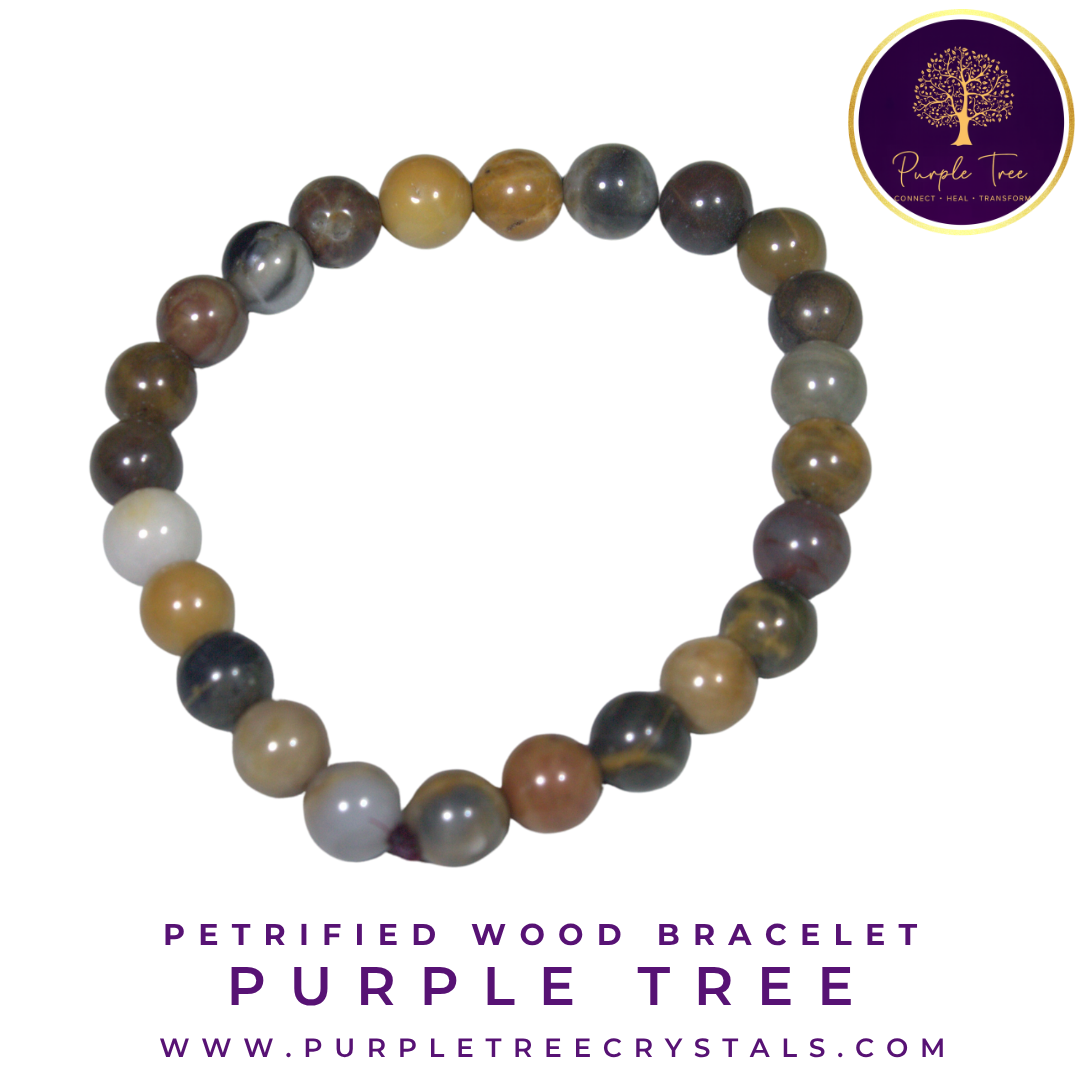 Petrified Wood Bracelet (8MM)