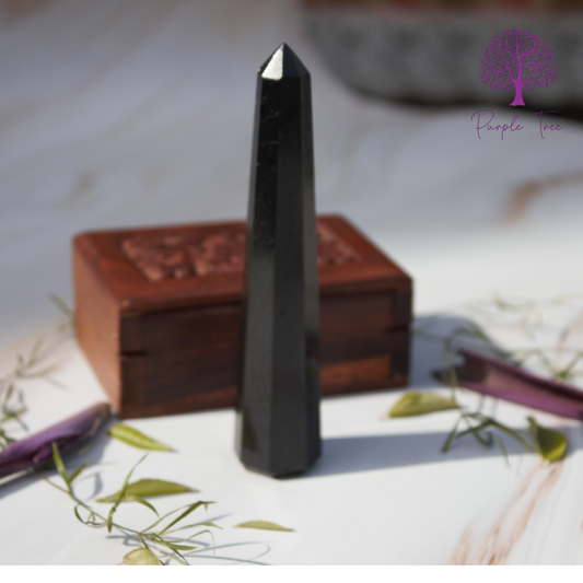 Black  Tourmaline Pointer