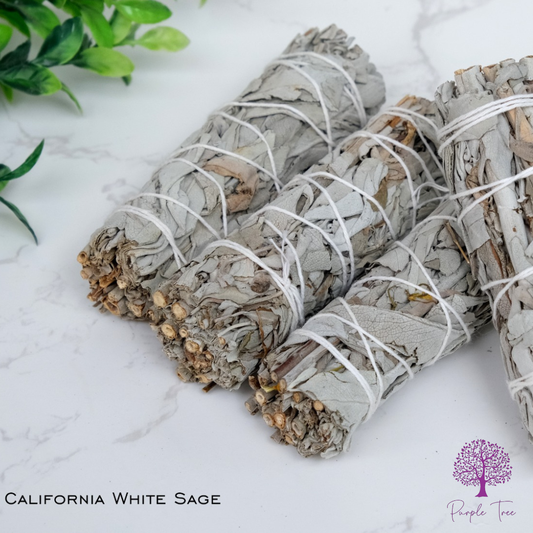 California White Sage