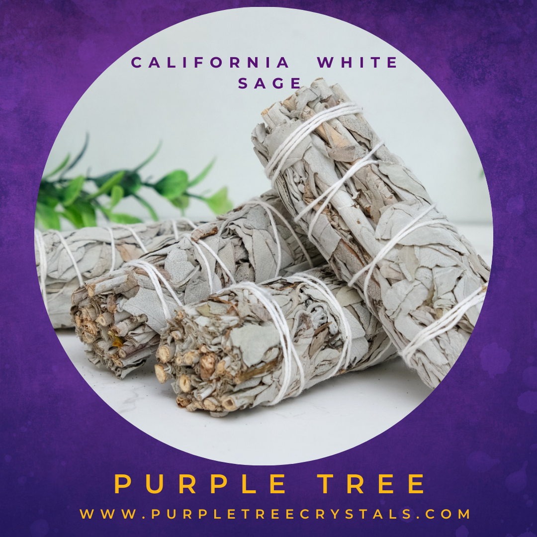 California White Sage