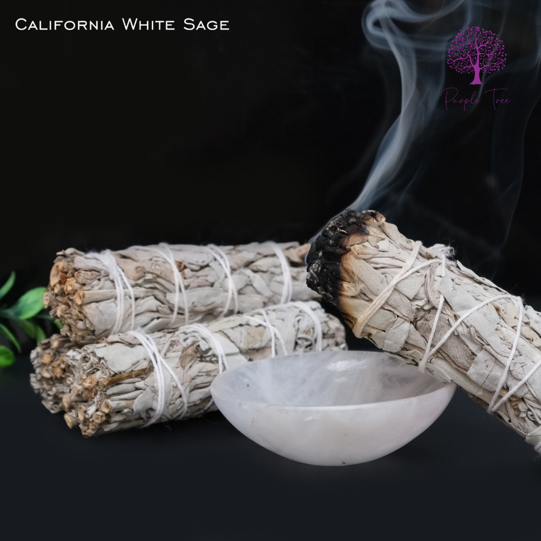 California White Sage