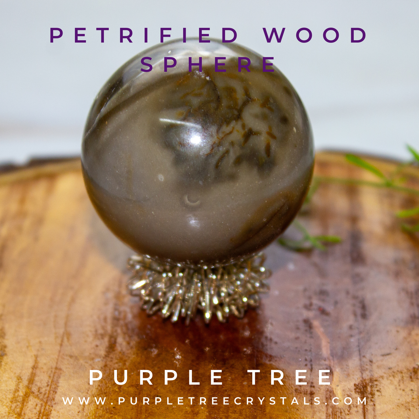 'Petrified Wood' Sphere