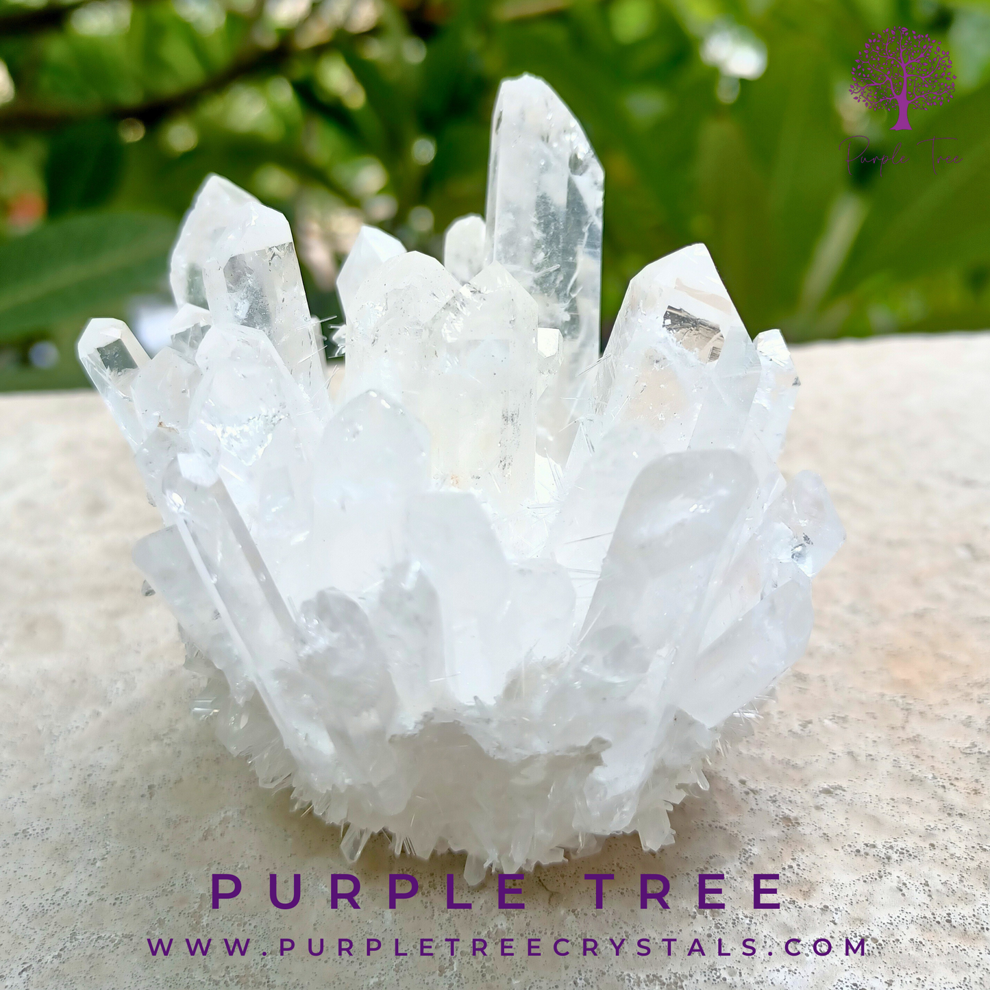 Clear Quartz Cluster - The Master Healer