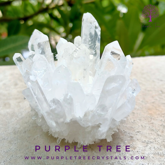 Clear Quartz Cluster - The Master Healer