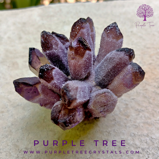 Amethyst Cluster - The Crystal Crown of Tranquility