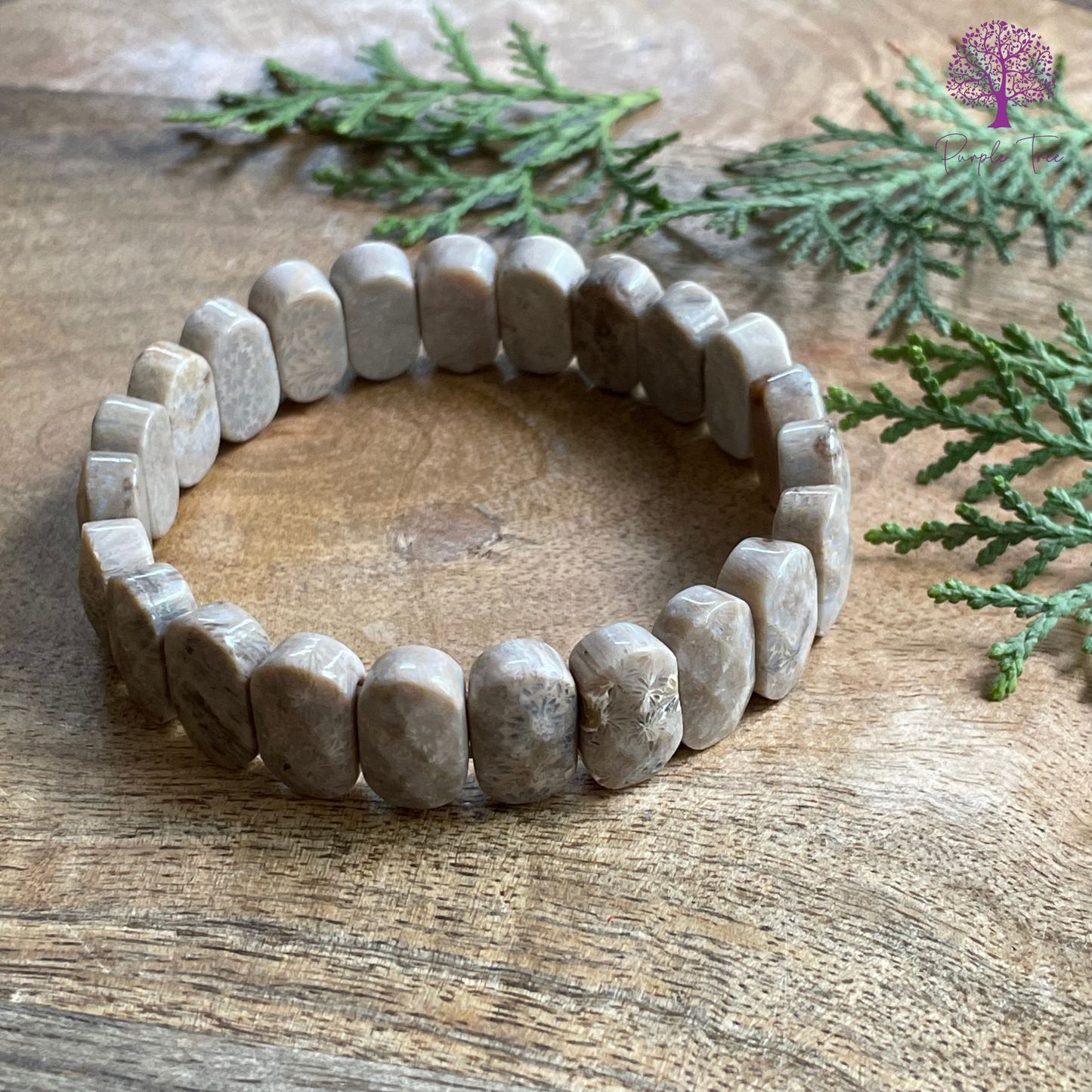 Fossil Coral Faceted Bracelet (Premium)