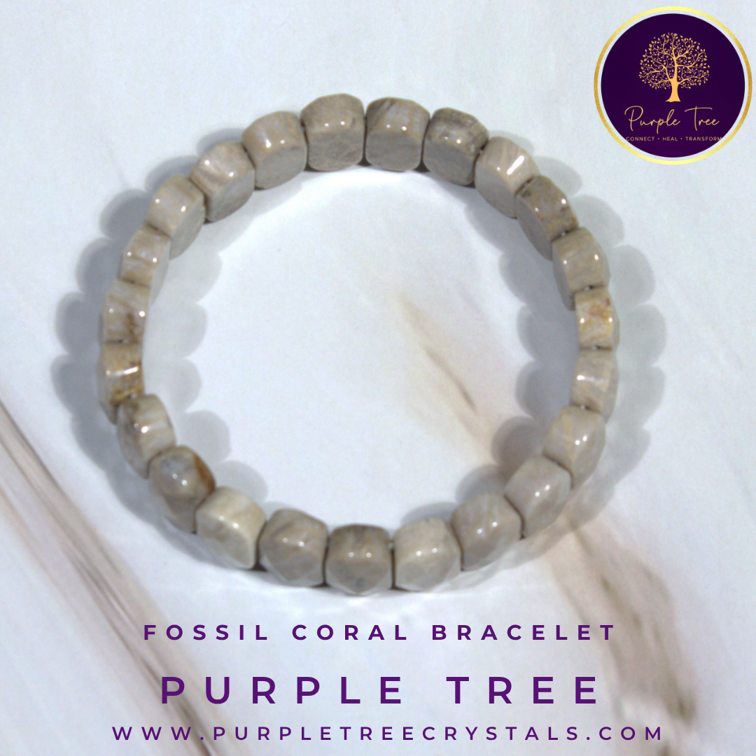 Fossil Coral Faceted Bracelet (Premium)