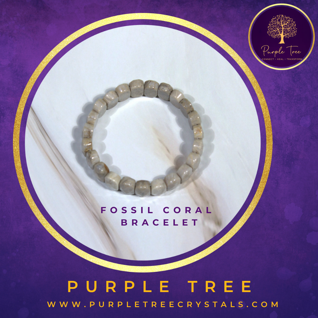 Fossil Coral Faceted Bracelet (Premium)