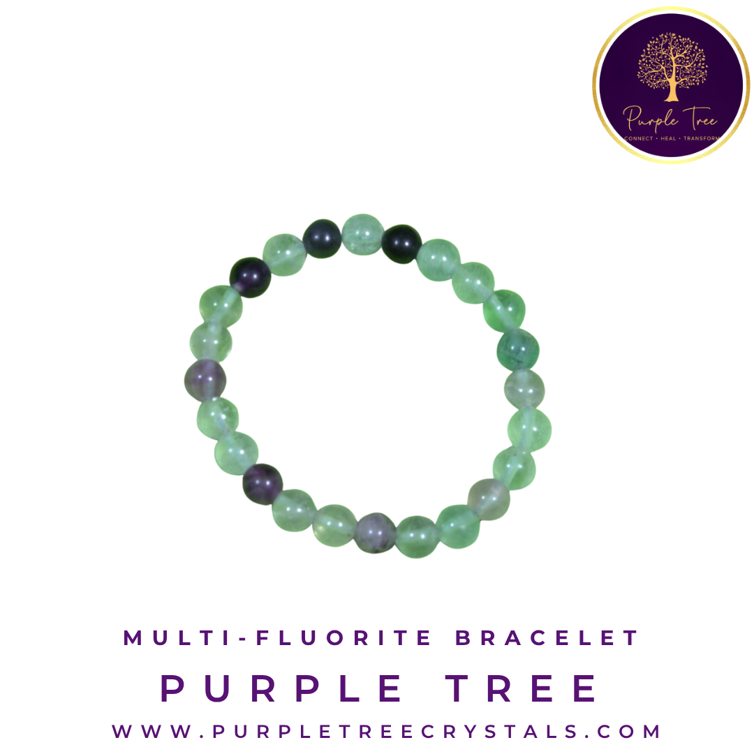 Multi-Fluorite Bracelet (8MM)