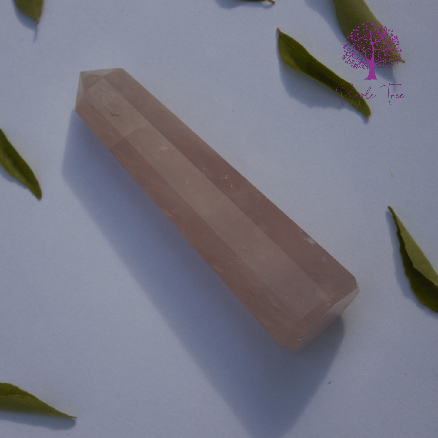 'Rose Quartz' Pointer