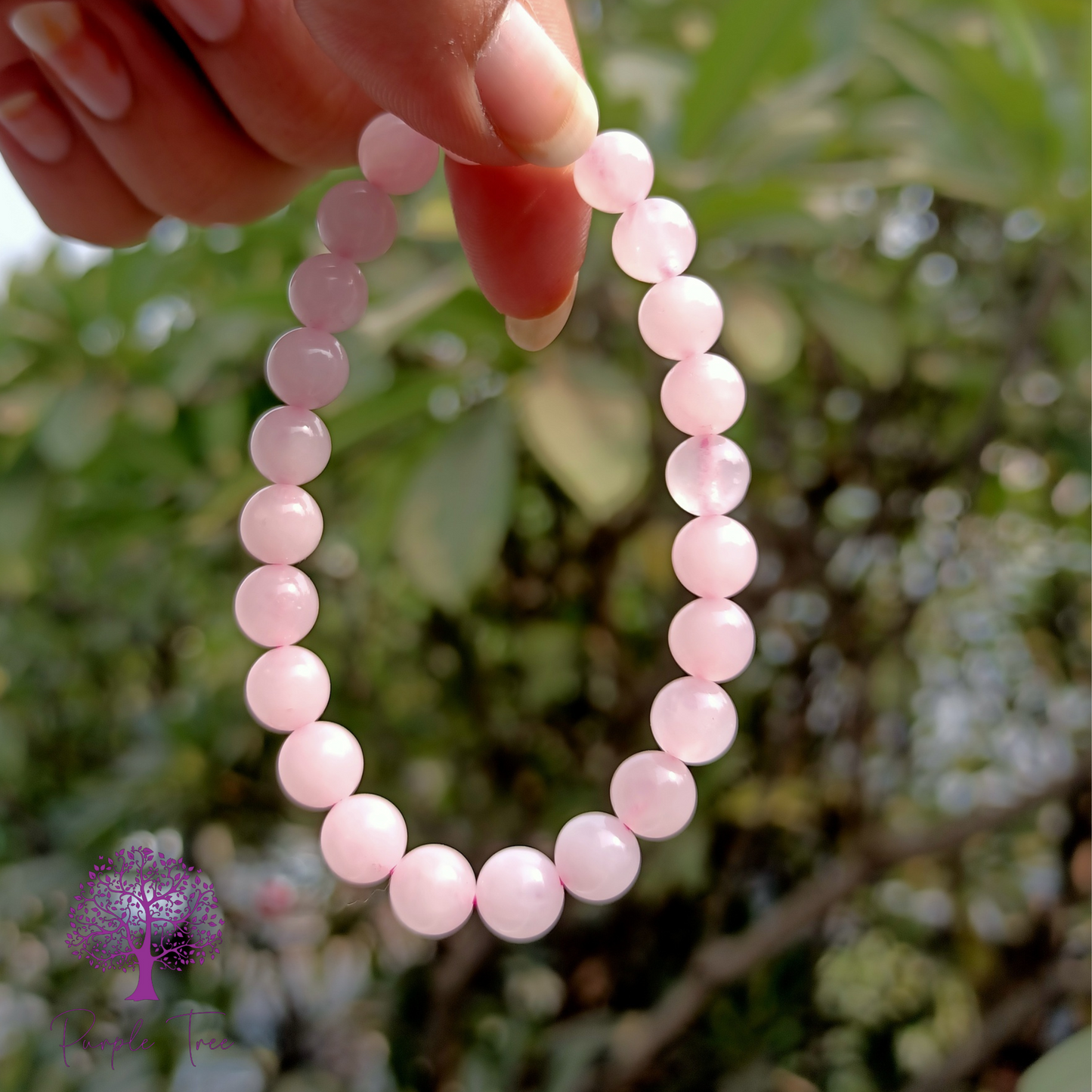 Rose Quartz Bracelet (8MM)