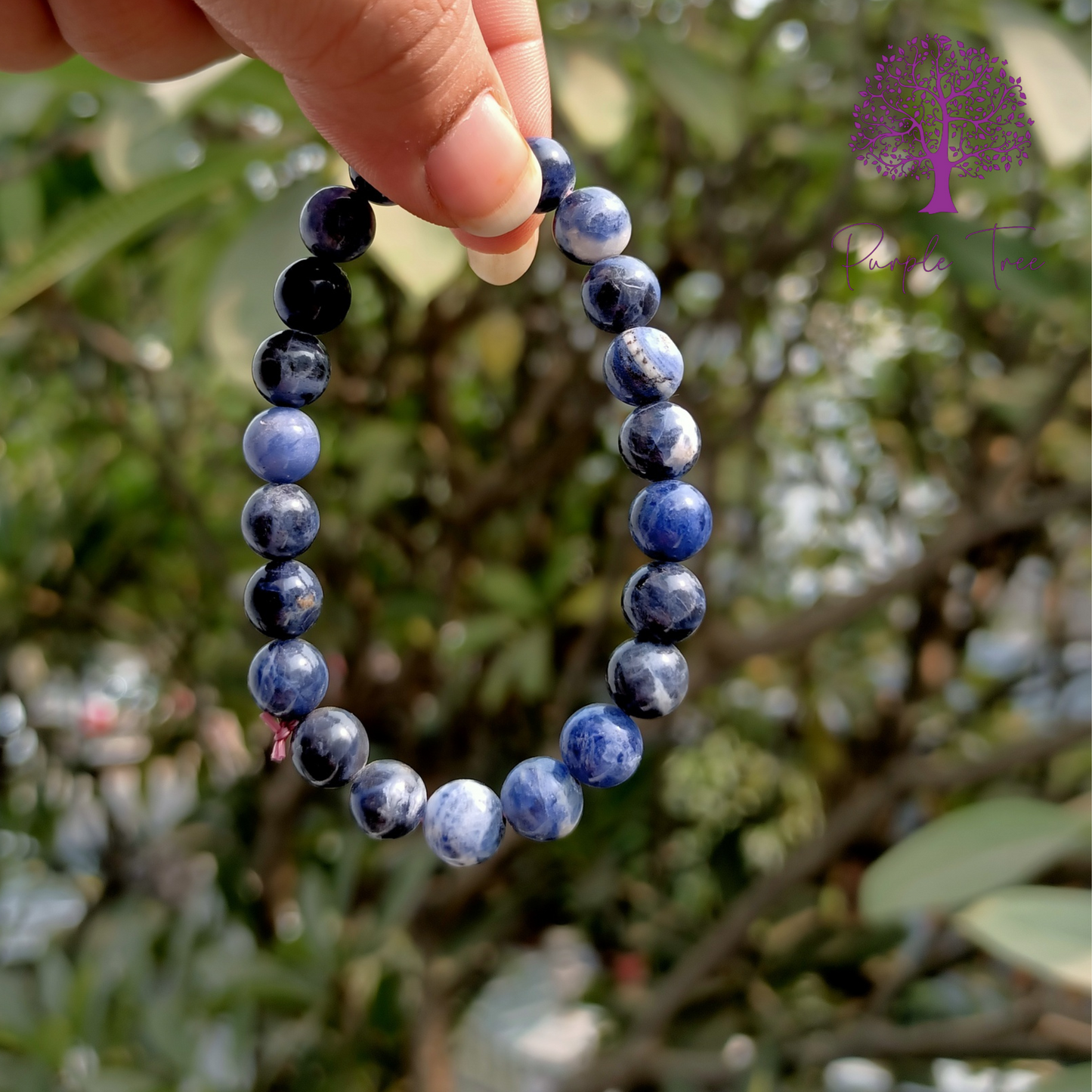 Sodalite Bracelet (8MM)