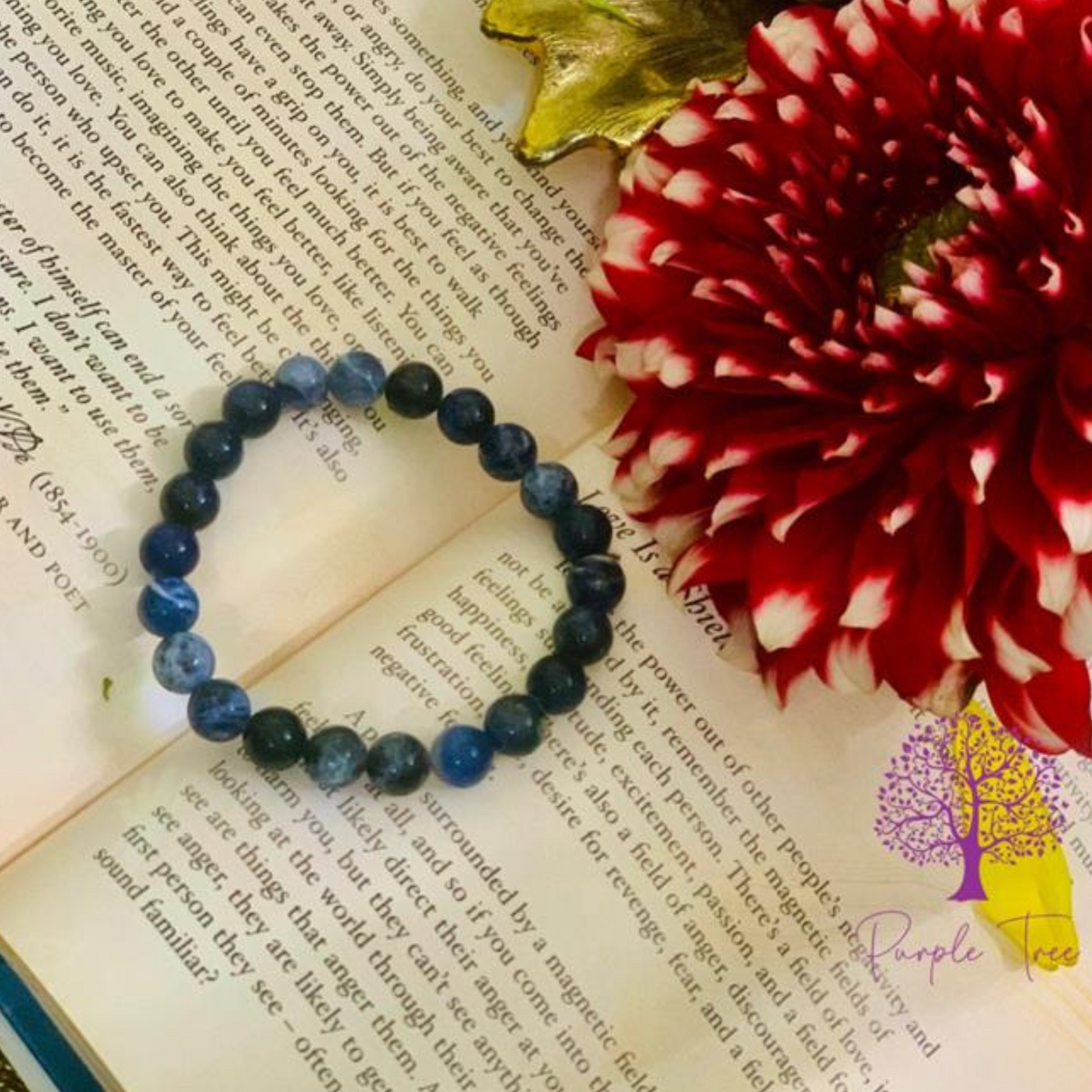 Sodalite Bracelet (8MM)