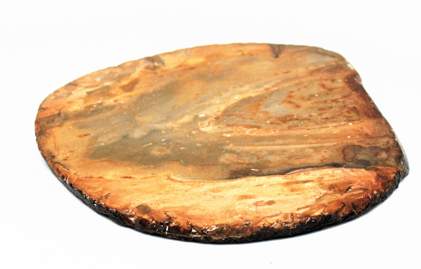 'Petrified Wood' Coaster