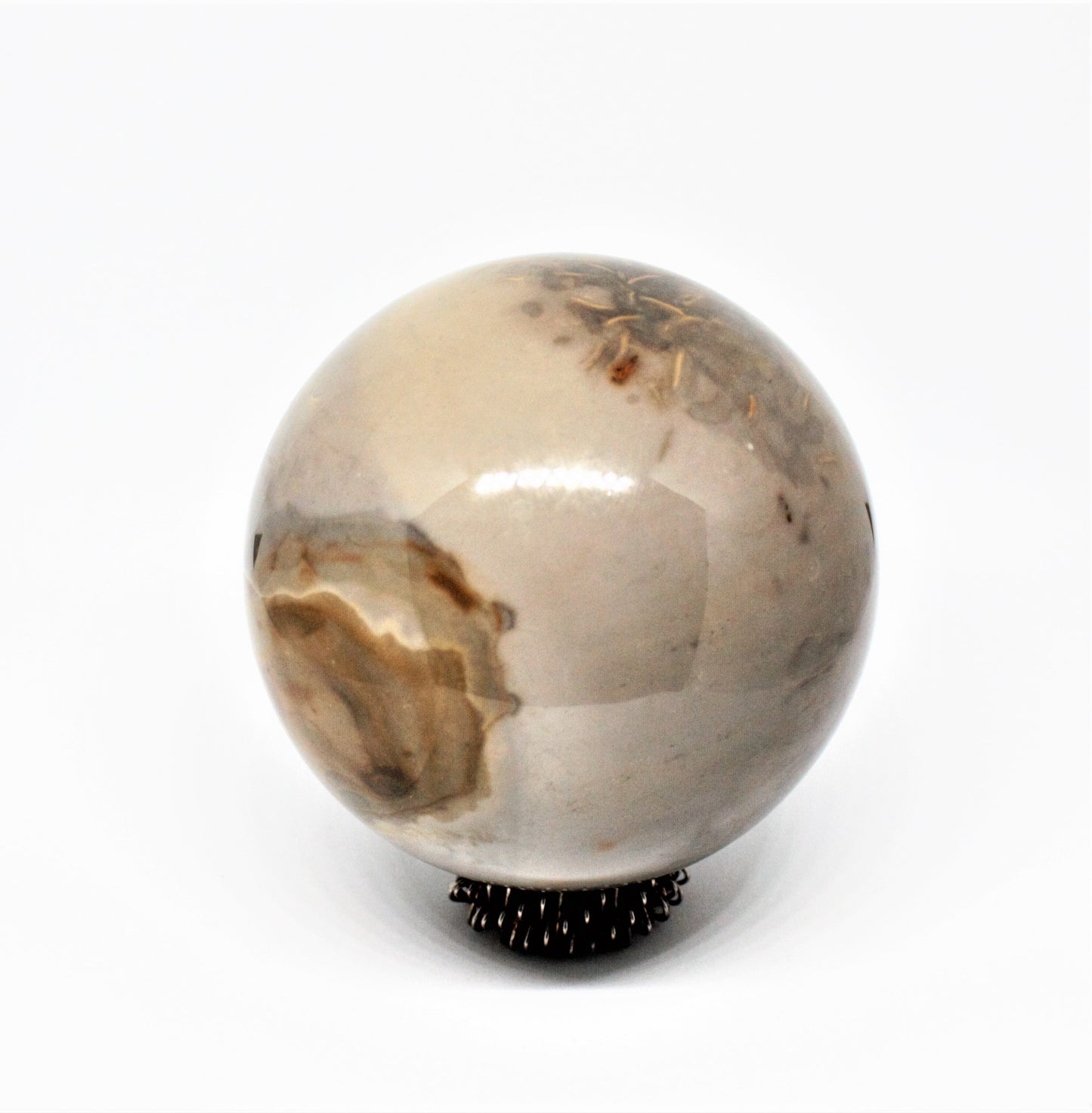 'Petrified Wood' Sphere